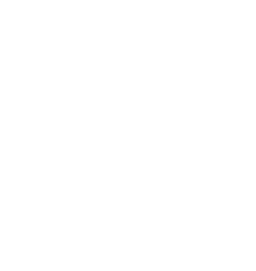Logo C blanc (fond sombre)